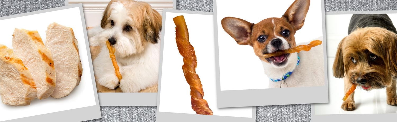 Hartz Oinkies Chicken Pig Skin Mini Twists Chew Dog Treats, 32pk