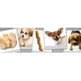 thumbnail image 2 of Hartz Oinkies Chicken Pig Skin Mini Twists Chew Dog Treats, 2 of 7