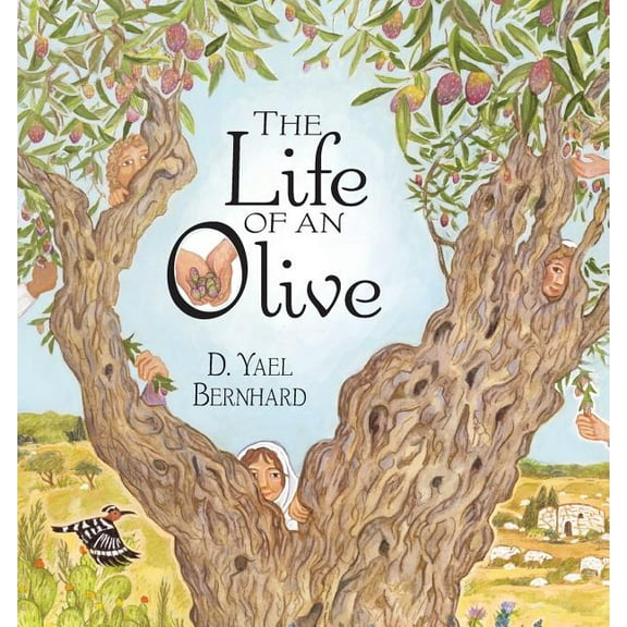 The Life of an Olive, (Paperback)