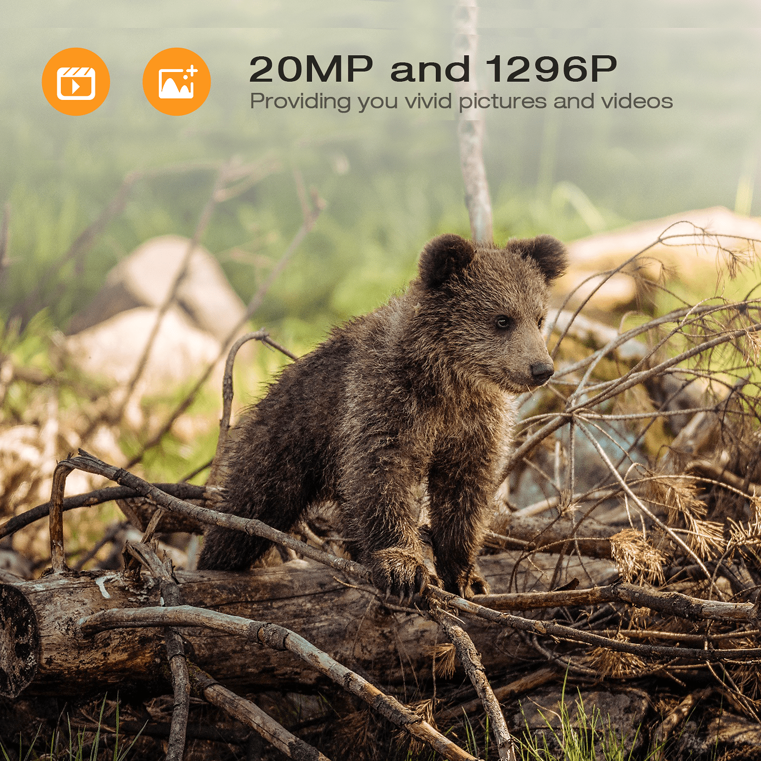 Campark WiFi Trail Camera 24MP 1296P Bluetooth Game Camera with Night Vision Waterproof IP66 Motion Activated