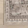 thumbnail image 5 of nuLOOM Davi Faded SplashGuard Machine Washable Area Rug, 2' x 3', Davi Stone, 5 of 13