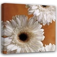 thumbnail image 1 of Janel Pahl 28x28 Gallery Wrapped Canvas Wall Art Titled - Gerber Delight I, 1 of 4