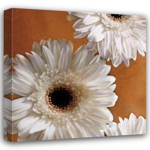 Janel Pahl 28x28 Gallery Wrapped Canvas Wall Art Titled - Gerber Delight I