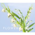 thumbnail image 3 of Kit de construcción de ramo de flores; Un ramo de flores único y un proyecto creativo para adultos, nuevo 2022 Sincero Electrónica, 3 of 5