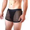 thumbnail image 1 of Sexy Men's Boxer Briefs Mesh Erotic Underwear Breathable Panties Sissy Lingerie, 1 of 5