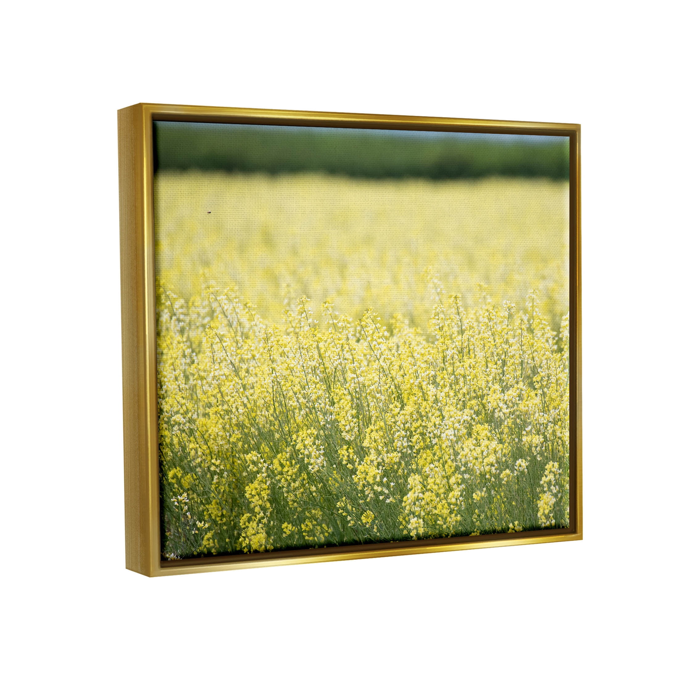Stupell Industries Bright Country Meadow Wildflowers Photograph Metallic Gold Floating Framed Canvas Print Wall Art, Design by Nancy Crowell