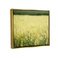 thumbnail image 3 of Stupell Industries Bright Country Meadow Wildflowers Photograph Metallic Gold Floating Framed Canvas Print Wall Art, Design by Nancy Crowell, 3 of 6