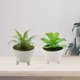 thumbnail image 4 of 2 uds simulación de flores falsas suculentas bonsái pequeños adornos creativos plantas verdes artificiales, 4 of 5