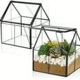 thumbnail image 1 of HLONK Terrarium Rectangulaire en Verre Résistant aux Intempéries avec Support pour Escargots - Serre pour Plantes d'Intérieur et d'Extérieur Idéale pour Succulentes et Petites Plantes Déco Maison et Jardin, 1 of 5