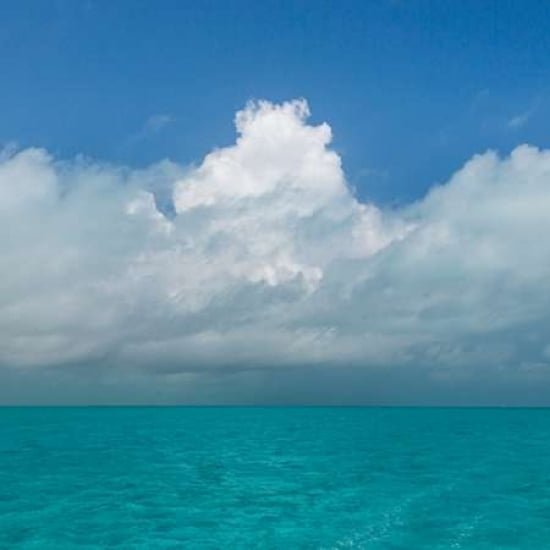 Tropical Seascape I