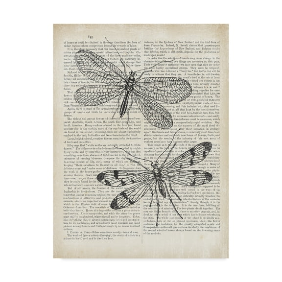 Trademark Fine Art 'Vintage Dragonflies on Newsprint' Canvas Art by Wild Apple Portfolio