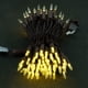 thumbnail image 2 of Guirnalda de luces navideñas, 10 m, 100 LED, blanco cálido, 120 V, 2 of 7
