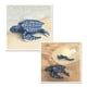 thumbnail image 5 of Colección de tortuga Yotijar Incluye réplicas de huevos larvas tortugas jóvenes y adultas s pintadas Juego de crecimiento de tortugas marinas, 5 of 8