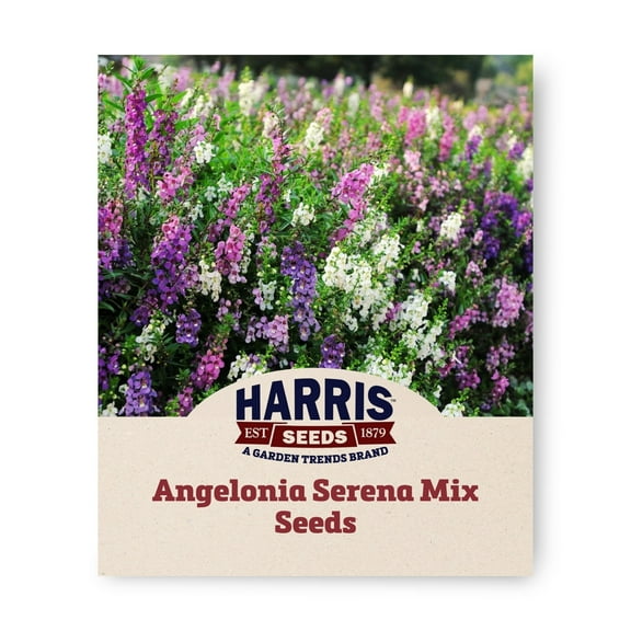 Harris Seeds 403910 Angelonia Serena Mix F1 Plant Seeds