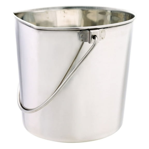 ProSelect Flat Sided Stainless Steel Farm Animal Food &Water Pail, 6 Qt