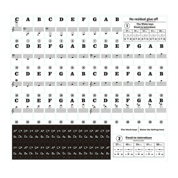 Stickers Pour Piano, Autocollants pour Notes De Piano pour Clavier De Piano  37/49/54/61/88 pour Débutants Apprentissage Facile