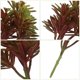 thumbnail image 5 of Planta suculenta artificial de imitación, planta artificial de plástico, decoración para oficina y hogar., 5 of 6
