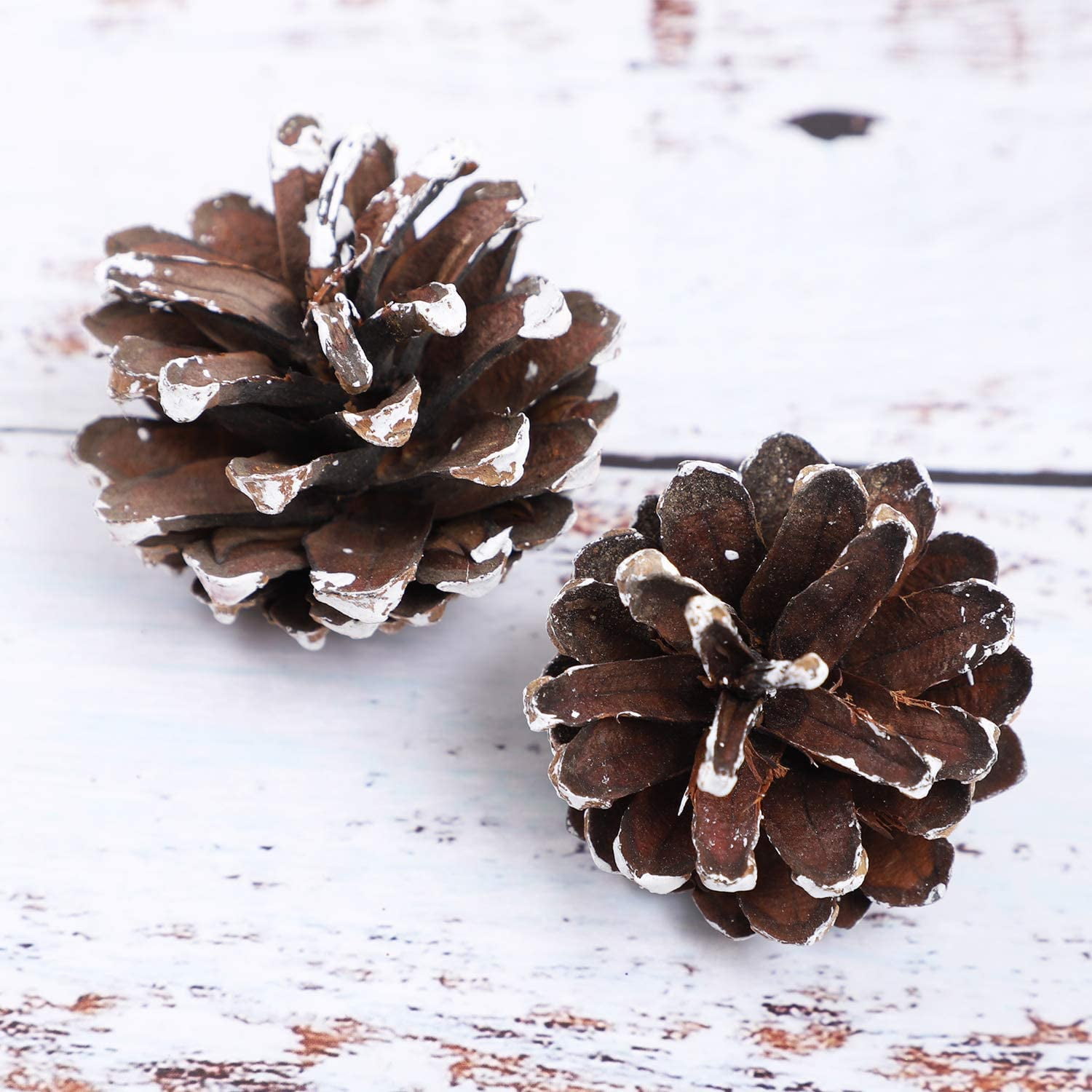 Yyeselk 9cm 8Pieces Pine Cones for Christmas Tree Christmas Pine Cones  Ornaments Frosted Pine Cones Decorations Mini Pine Cones Xmas Pinecones  with String Pendant Crafts for Winter Farmhouse Party 