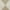 Natural Ivory, variant on Nourison Washable Modern Jute Modern Natural Ivory 5'3" x 7'3" Area Rug (5x7)