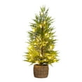 thumbnail image 2 of Nearly Natural Pre-Lit Frosted Cypress Artificial Potted Christmas Tree - 2.5' - Warm White Lights, 2 of 9