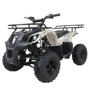 2021 New Tao Motor ATA- 1Automatic Gas All-Terrain Vehicle (ATV) With Big 16 Tires and Reverse - Midnight Black Color