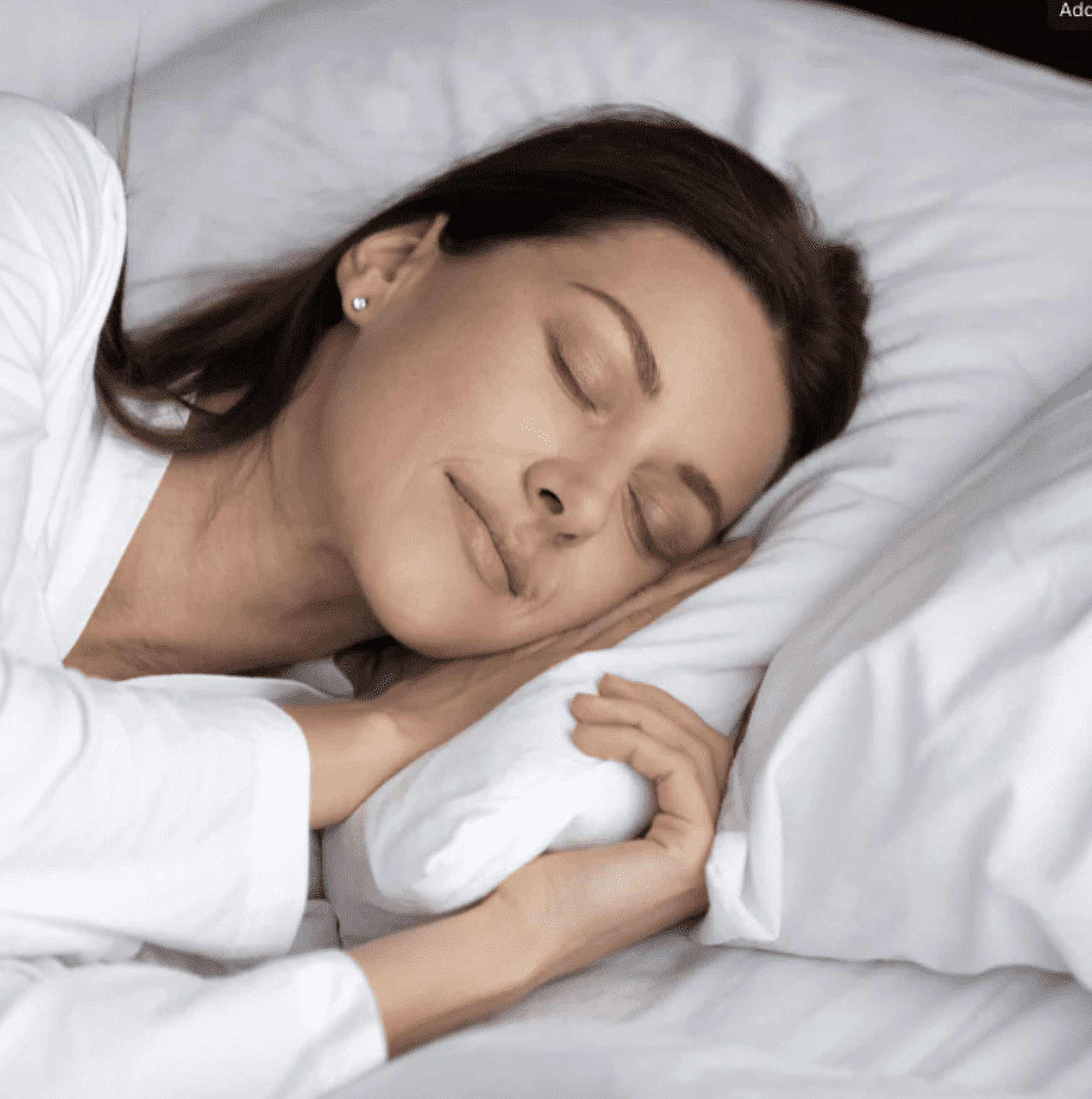 Pillowtex High End White Goose Down Soft Queen Size Pillow