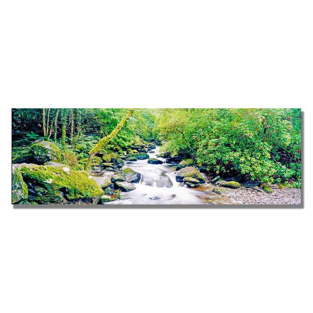 Trademark Art "Ireland Green" Canvas Wall Art by Preston