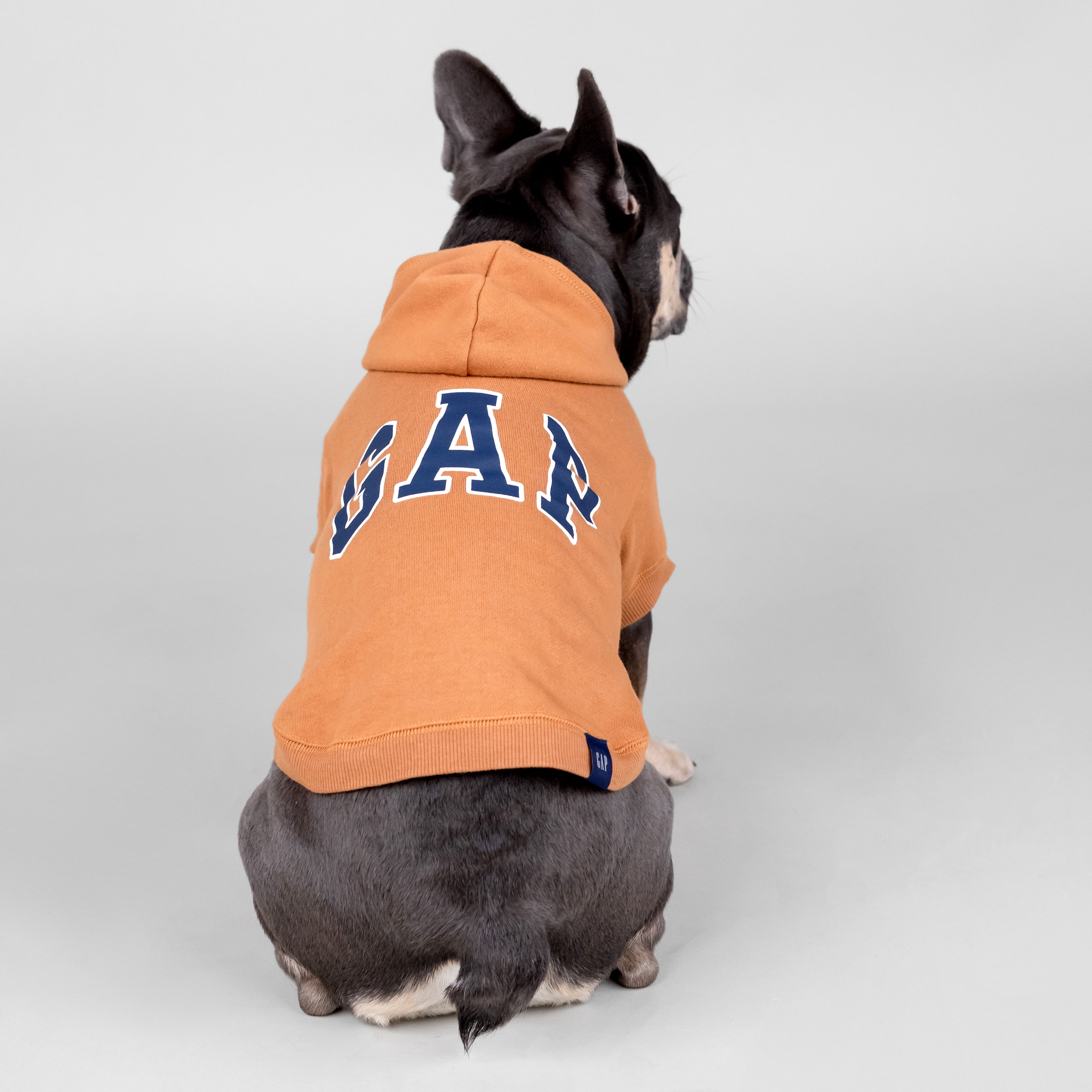 gap cat hoodie