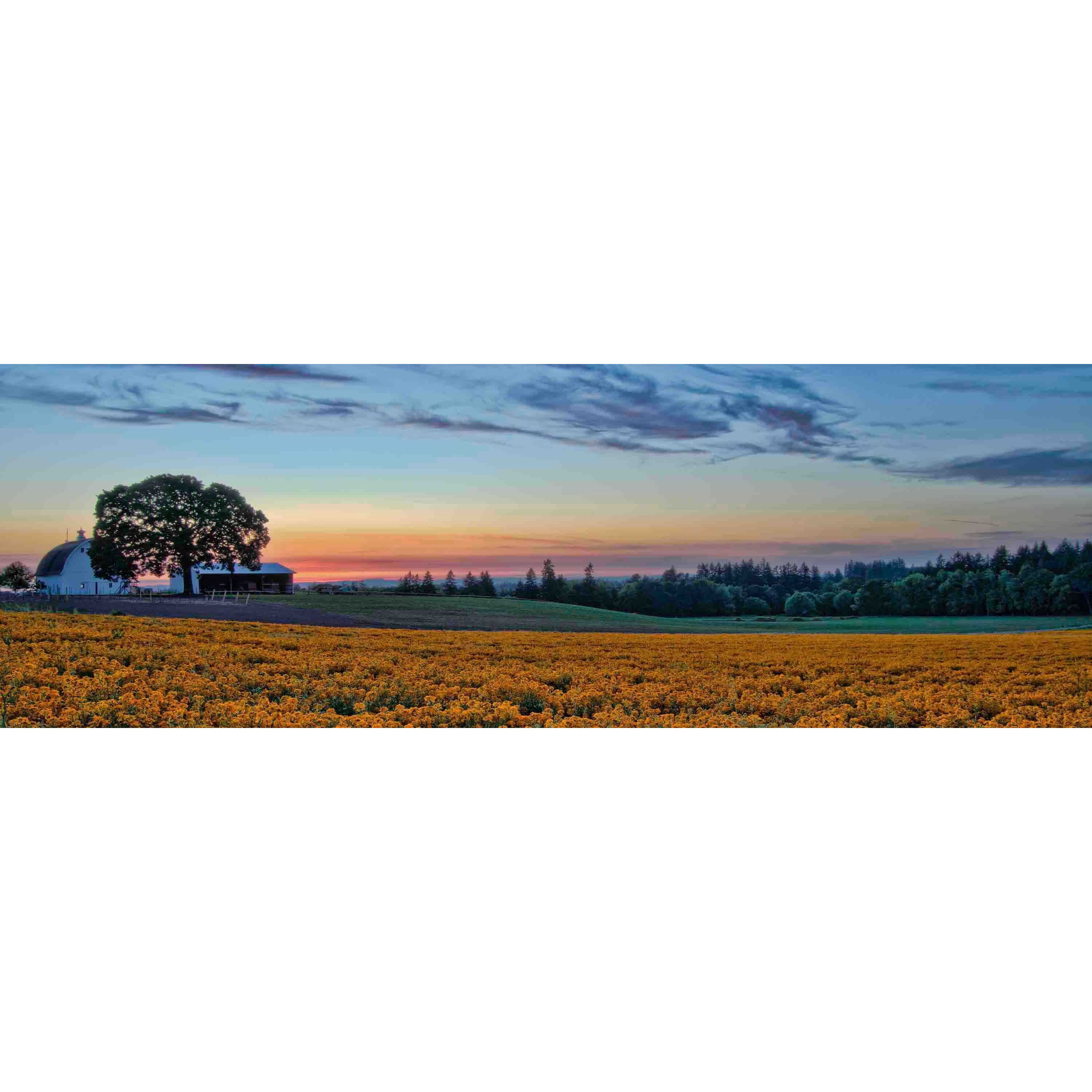 Marmont Hill "Sundown on the Farm" Painting Print on Canvas
