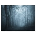 thumbnail image 2 of Darkness in Forest with Fog - Landscape Photo Canvas Art Print, 2 of 3