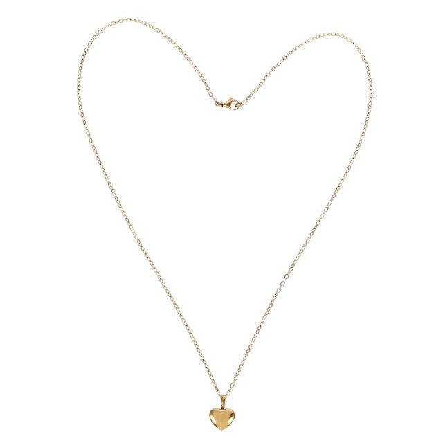 LIFKOME 1Pcs Heart Shaped Stainless Steel Openable Pet Ashes Urn Necklace Ash Necklace For Cat