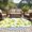 Yellow, variant on Round Area Rug 8 Ft, Yellow Lemons Washable Non-Slip Circle Carpet for Living Room/Bedroom, Watercolor Summer Botanical Elegant Pastoral Collection Low-Profile Large Area Rugs for Indoor