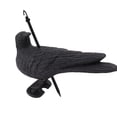thumbnail image 1 of Crow Sculpture, Hangable Decorative Effect Plastic Crow Decoys Sun Protection Elbow Crow Black  For Desks, 1 of 7