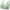 Bras for Women Green, variant on Womens Front Closure Bras, Daisy Bras for Women Plus Size Bras Front Closing Bras No Underwire Full Coverage Bralettes Everyday Wear Bras 36-52