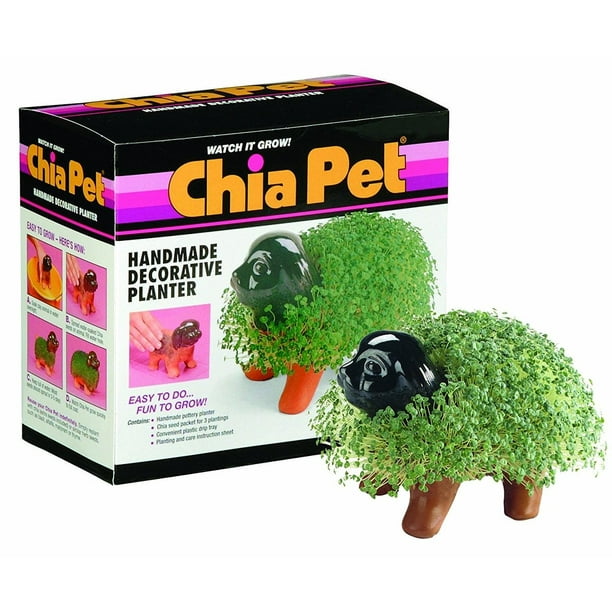 Chia Pet Puppy Handmade Decorative Pottery Planter, Easy