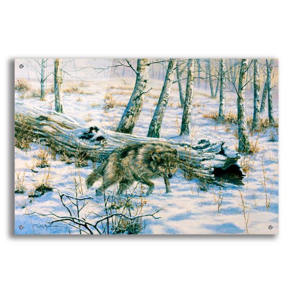 Epic Art 'Snow Wolf' by Bill Makinson, Acrylic Glass Wall Art, 36"x24"