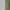 Green, variant on Aimik Hanes Men's Cotton Linen Pants Casual Elastic Waist Drawstring Pants Straight Leg Yoga Pants Lightweight Summer Beach Pants-Beige XXL