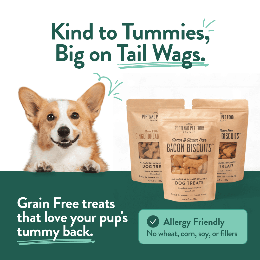 Portland Pet Food Company Natural Dog Treats Variety Pumpkin Gingerbread & Bacon Dog Biscuits - Grain-Free, Human-Grade Healthy Training & Snacks - Small, Large Breed - Made in the USA - 3 Pack