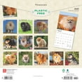 thumbnail image 2 of Pomeranians 2025 12 X 24 Inch Monthly Square Wall Calendar Plastic-Free (Wall), 2 of 9