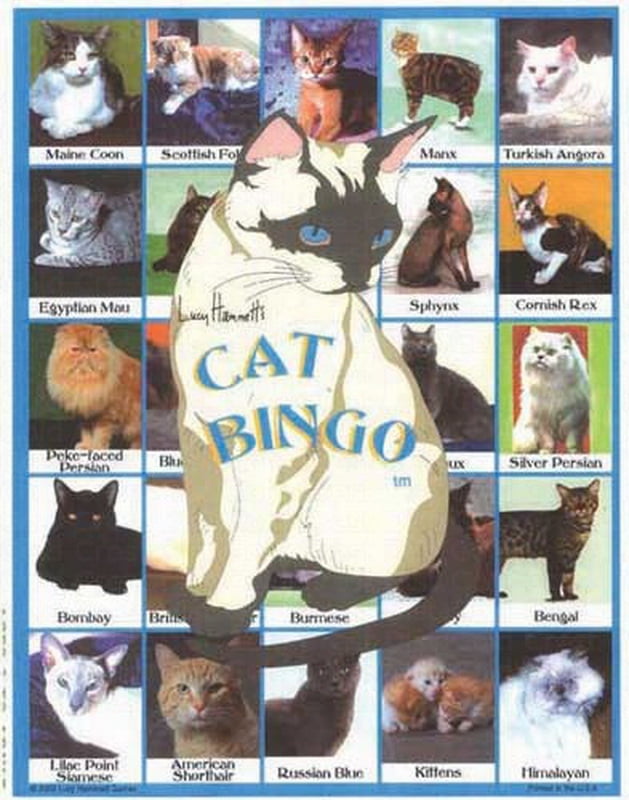 Lucy Hammett Cat Bingo