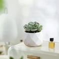 thumbnail image 6 of Usloyux Under $5 Artificial Succulents Plants, Fake Potted Greenery Decor, Mini Faux Plants for Office Desk Home, Low Maintenance Decor for Window Shelf Display, 6 of 6