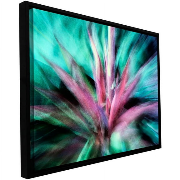 ArtWall Dean Uhlinger "Agave Manana" Floater Framed Gallery-Wrapped Canvas