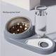 thumbnail image 4 of Comedero doble para perros y gatos con dispensador automático juego de comederos inclinados de acero inoxidable para perros pequeños y gatos con base antideslizante ANGGREK Otros, 4 of 8