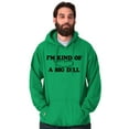 thumbnail image 3 of Kind Of Big Dill Food Funny Pickle Hoodie Sweatshirt Women Men Brisco Brands S, 3 of 6