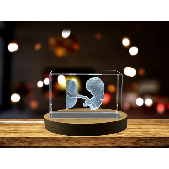 Third Month Foetus 3D Engraved Crystal Pregnancy Gift – Unique Baby Milestone Keepsake