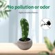 thumbnail image 4 of Planta de simulación planta en maceta simulación flor cactus bonsai decoración creativa planta verde, 4 of 5