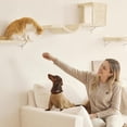 thumbnail image 4 of Estantes de pared para gatos FUKUMARU, set de escalada 4 en 1, beige, 4 of 9