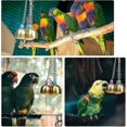 thumbnail image 5 of Budgie Toy Interesting Bird Toy Interactive Bells Toy For Small Parrot Macaws Parakeets Love Birds (random Color) 1pc, 5 of 5