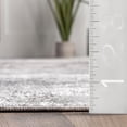 thumbnail image 2 of nuLOOM Serena Machine Washable Distressed Traditional Area Rug, 3x5, Grey, 2 of 6