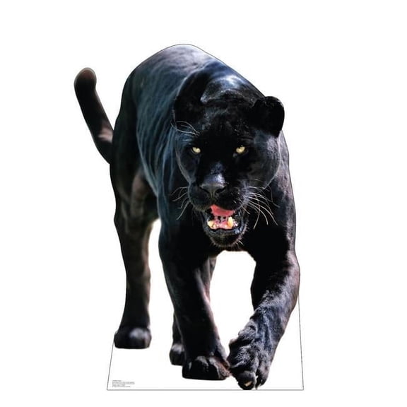 47 x 31 in. Black Jaguar Life-Size Cardboard Cutout